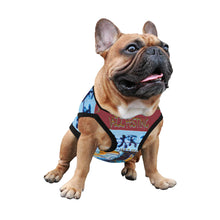 Load image into Gallery viewer, Jazz Fest Dog Shirts